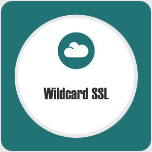 Wildcard SSL